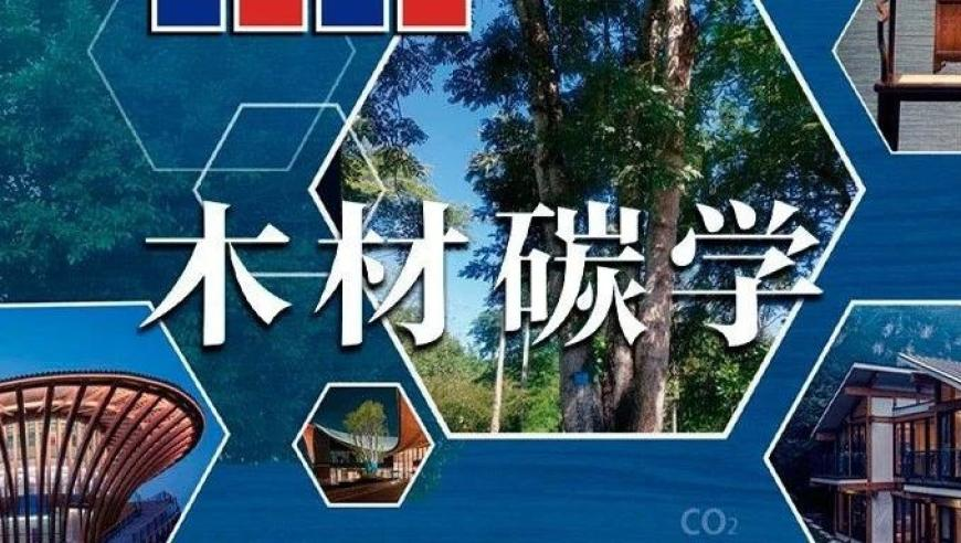 新澳门三肖三码期期准精选请出示溴,好一个乖乖女,精准解释落实及其象征意义_高清版V14.60